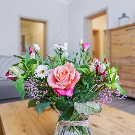 Glueckspilz Ofc 27 Ostseebad Kühlungsborn