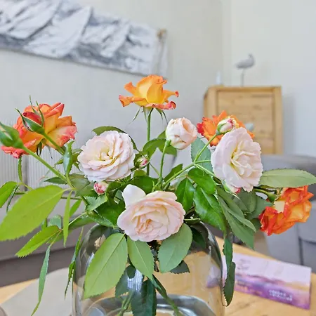 Glueckspilz Ofc 27 וילה Ostseebad Kühlungsborn